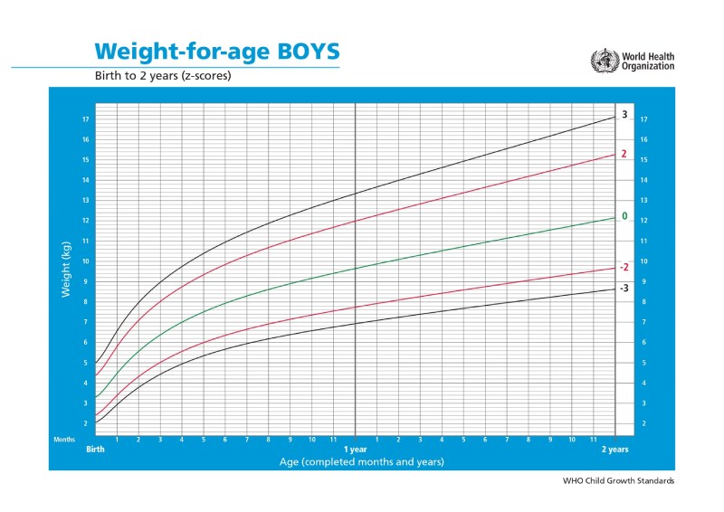 Grafik Pertumbuhan Berat Badan Anak Laki-Laki