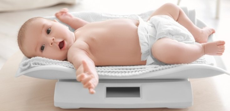 Berat Badan Ideal Bayi 8 Bulan dan Cara Menambahnya