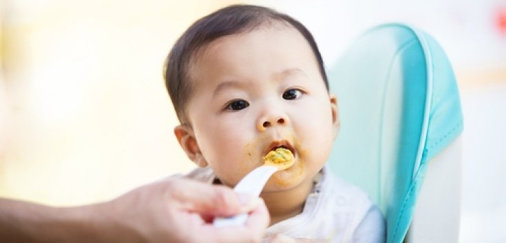 17 Makanan yang Mengandung Zat Besi untuk Bayi
