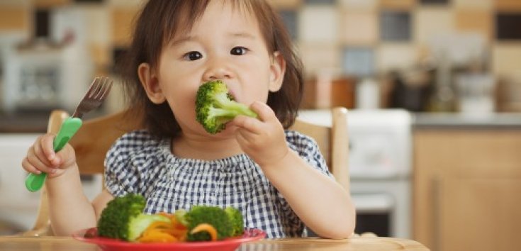 16 Makanan yang Mengandung Zinc Terbaik untuk Anak