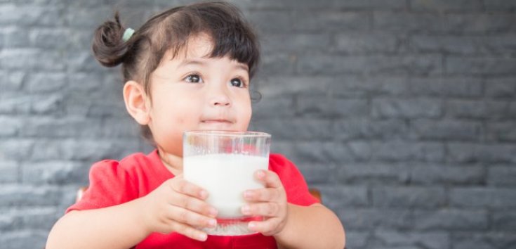 Ini Susu yang Bagus untuk Anak 2 Tahun yang Susah Makan